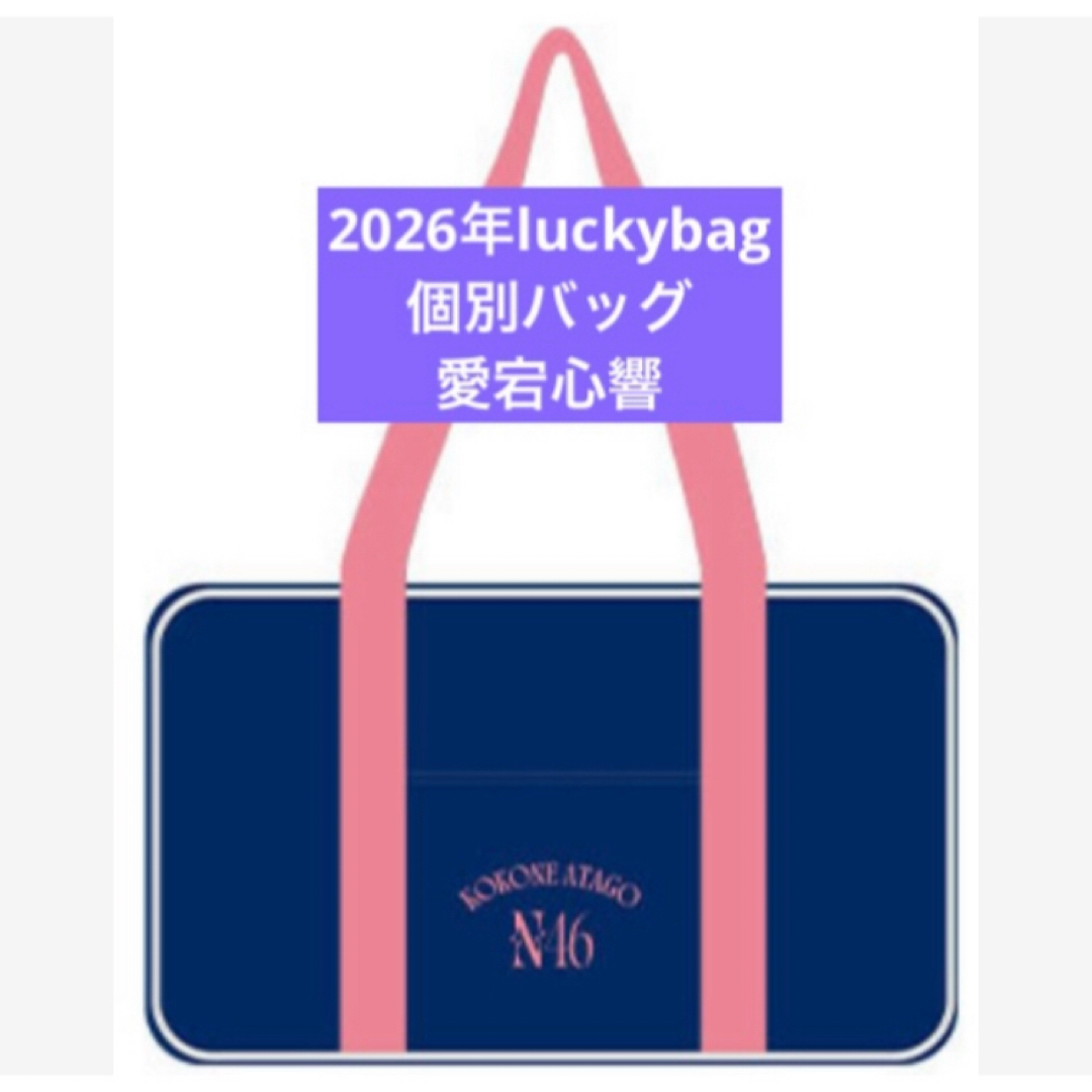 乃木坂46 - 愛宕心響 乃木坂46 限定 個別バッグ バック 2026 luckybag