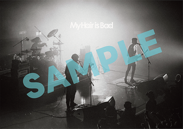 My Hair is Bad 最新 ライブ ブルーレイ＆DVD『My Hair is Bad