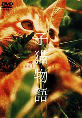 子猫物語 | HMV&BOOKS online - PCBC-50120