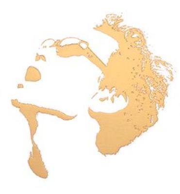 ゴールデン・ベスト・スーパー : 井上陽水 | HMV&BOOKS online - FLCF-3965