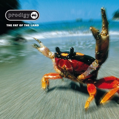 The Fat of the Land : The Prodigy | HMV&BOOKS online - XL-121CDJP