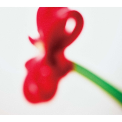 ハッピーエンドへの期待は 【初回生産限定盤】(+Blu-ray) : マカロニ