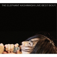 the fighting men's chronicle special THE ELEPHANT KASHIMASHI live
