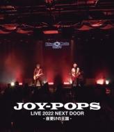 JOY-POPS（村越弘明・土屋公平）LIVE 2022 NEXT DOOR-夜更けの王国 Blu