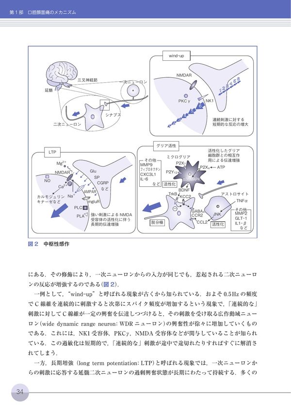 口腔顔面痛の診断と治療ガイドブック 第3版 日本口腔顔面痛学会(編