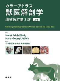 カラーアトラス獣医解剖学 増補改訂第3版 上巻 Horst Erich König(編