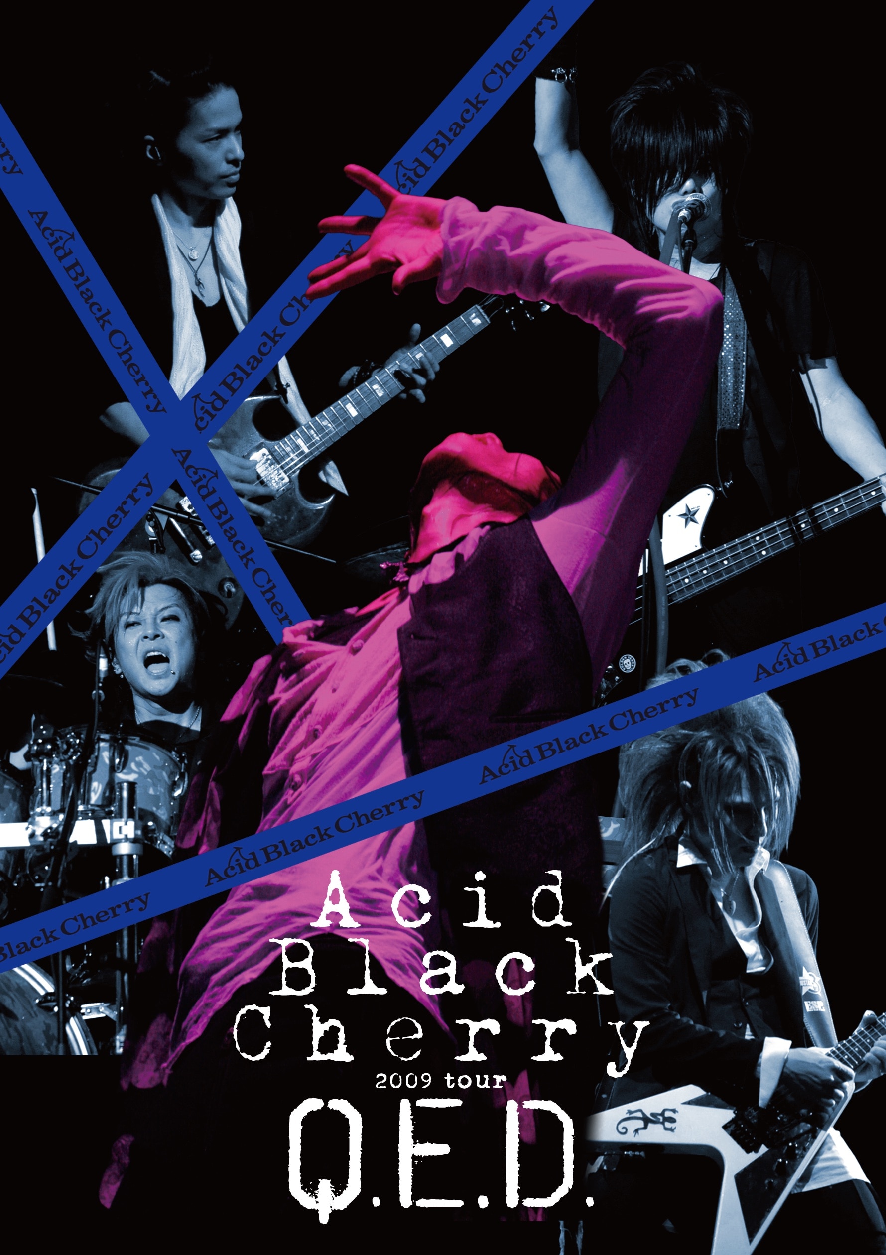 Acid Black Cherry 2009 tour 