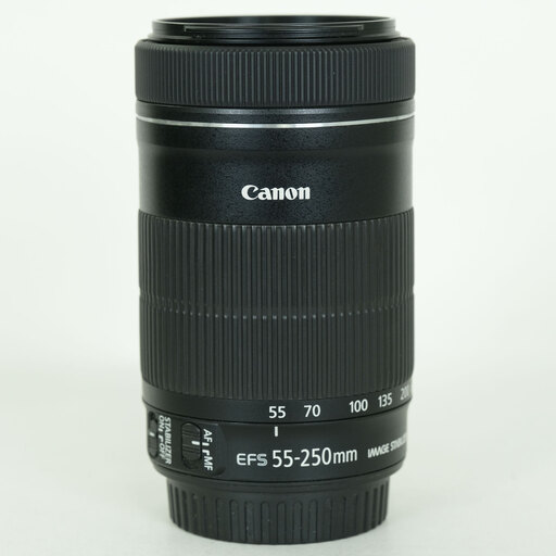 Canon EF-S55-250mm F4-5.6 IS STMを徹底解説。作例からレビューまで