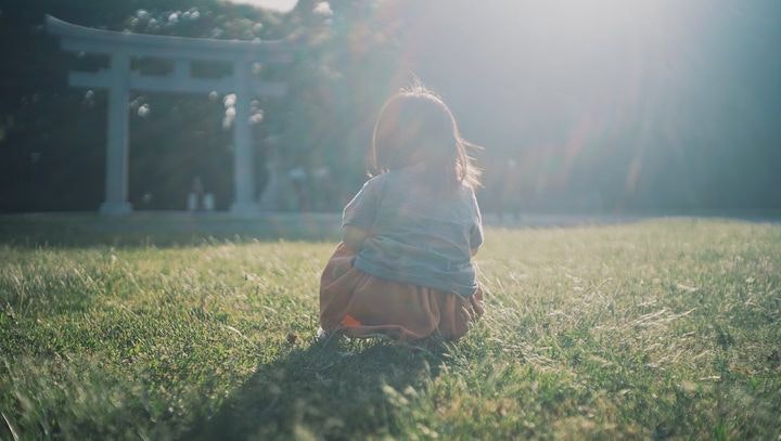 Carl Zeiss Jena Tessar 50mmF2.8を徹底解説。作例から中古相場まで