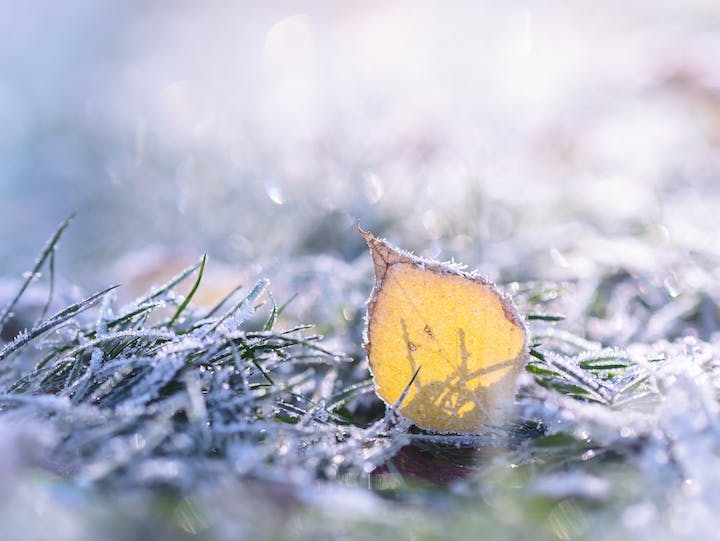 M.ZUIKO DIGITAL 45mm F1.8を徹底解説。作例からレビューまで | ONE