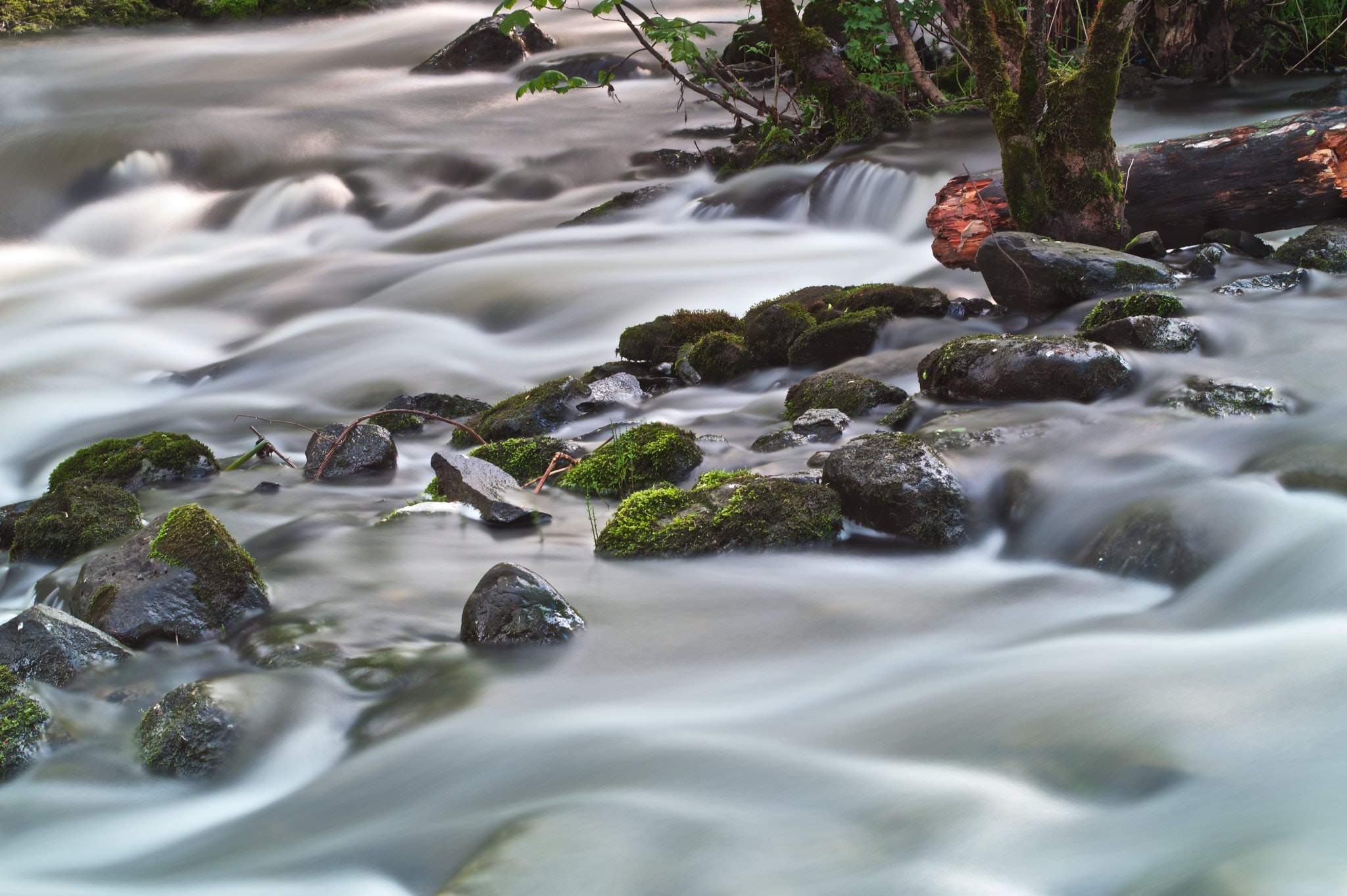 Nikon AF-S NIKKOR 50mm f/1.8Gを徹底解説。作例からレビューまで