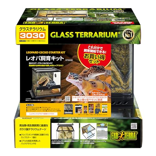 爬虫類飼育6点セット 説明書つき 爬虫類飼育6点セット 説明書つき