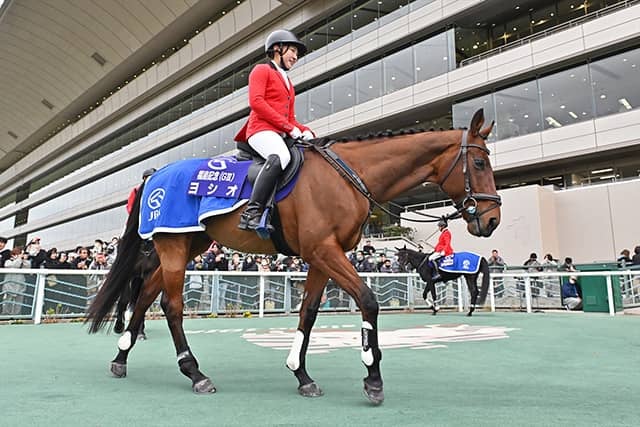 福島競馬場の誘導馬ヨシオが11歳で死す 21年アイドルホース