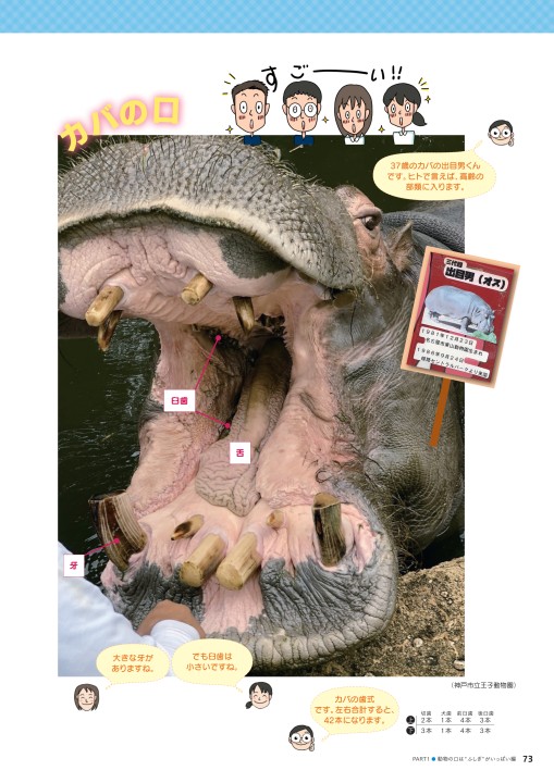 世界最強の歯科保健指導 中巻