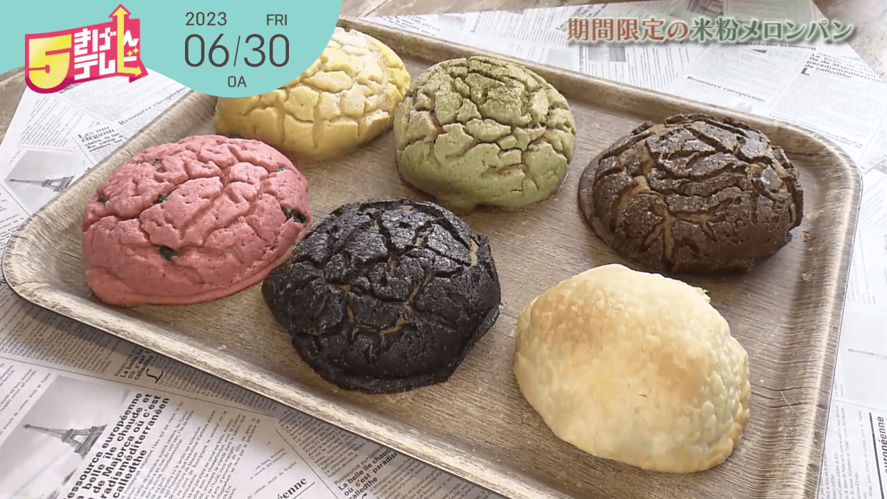 もちもち食感♪新感覚のメロンパン｜自家製酵母パン コシニール｜テレ