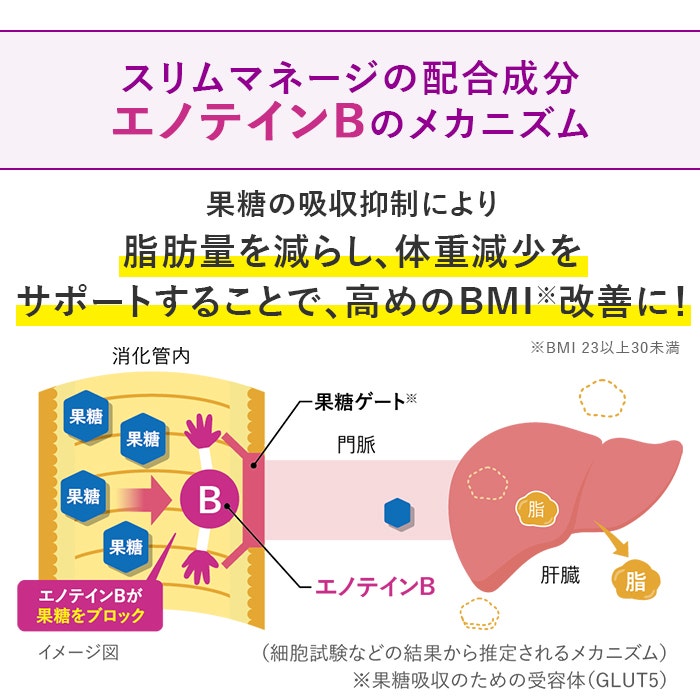 リゲインスリムマネージ｜商品詳細｜リゲイン通販公式サイト