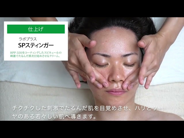 ラボプラス SPスティンガー 30g【店販用】の卸・通販 | ビューティガレージ