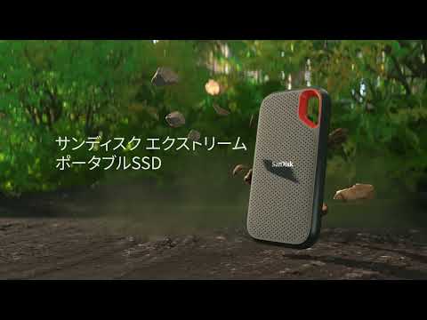 SDSSDE61-500G-J25 外付けSSD USB-C＋USB-A接続 Extreme Portable SSD