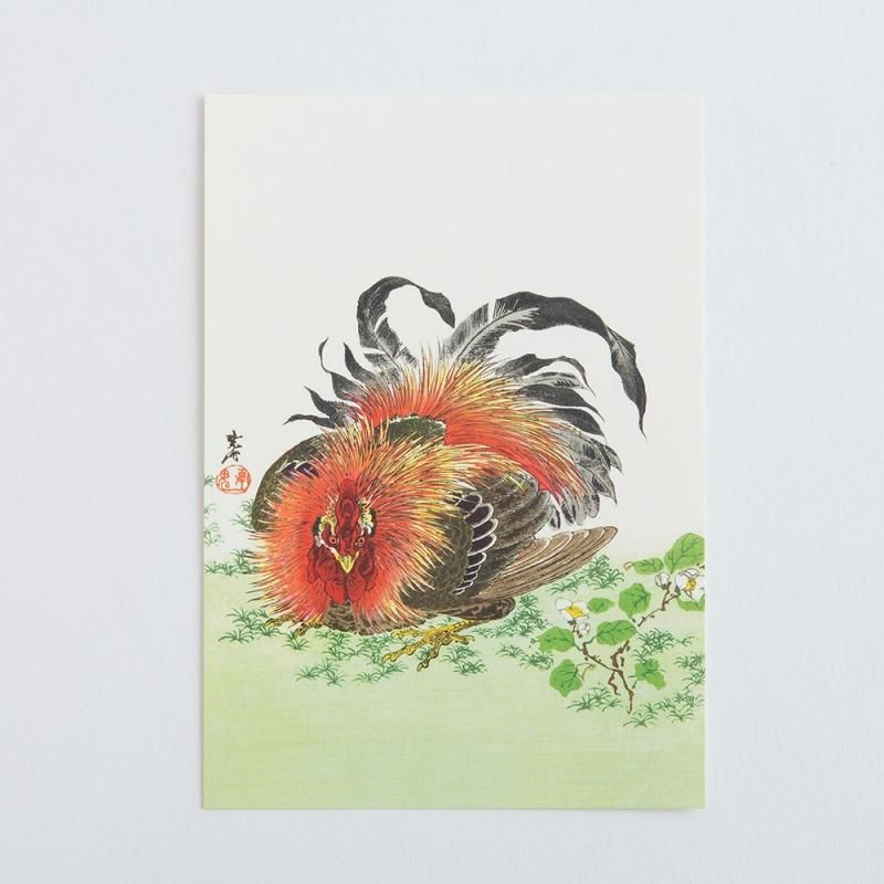 絵はがき「鶏図」＜河鍋暁斎＞ - 榛原（はいばら）オンラインショップ