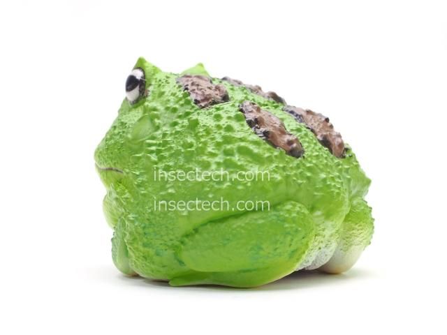 動物の惑星】クランウェルツノガエル（抹茶）フィギュア - 昆虫採集