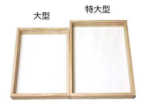 insectech 桐製ガラス蓋標本箱【特大型】 - 昆虫採集・昆虫標本用品