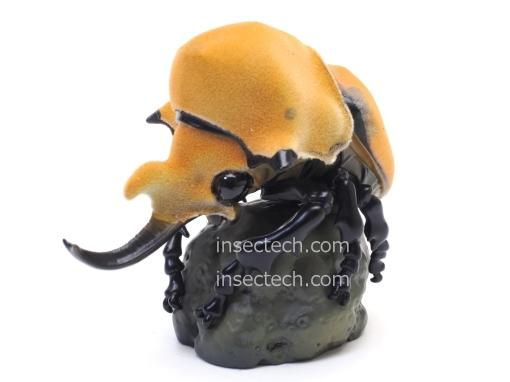 動物の惑星】エレファスゾウカブト フィギュア - 昆虫採集・昆虫標本