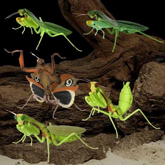 バンダイ いきもの大図鑑 かまきり04 全5種フルセット