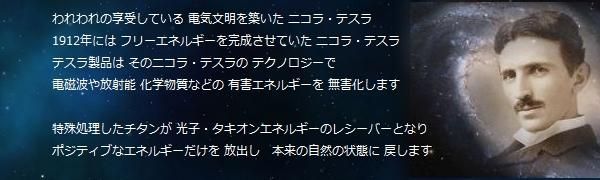 電磁波・化学物質・環境汚染に テスラ - 元国際線CAのセレクトショップ