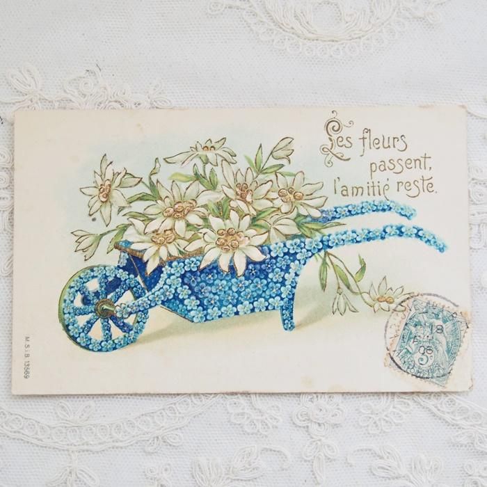 アンティーク ポストカード フランス 勿忘草 エーデルワイス