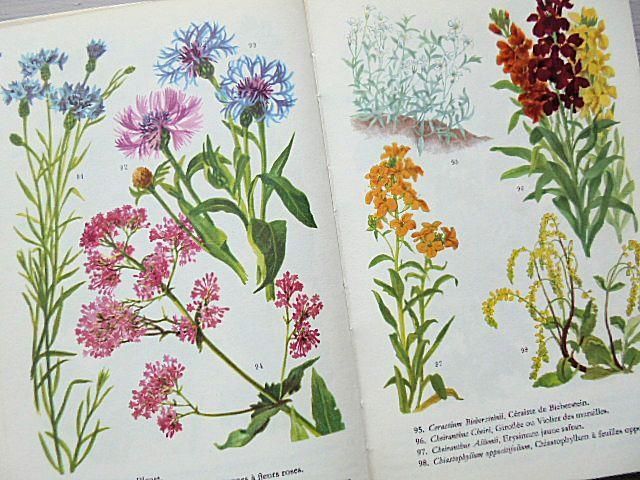 FLEURS DE JARDEN | フランスの庭の花図鑑 - 外国の古くてかわいい絵本
