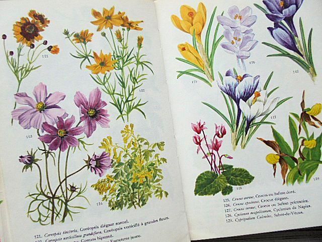 FLEURS DE JARDEN | フランスの庭の花図鑑 - 外国の古くてかわいい絵本