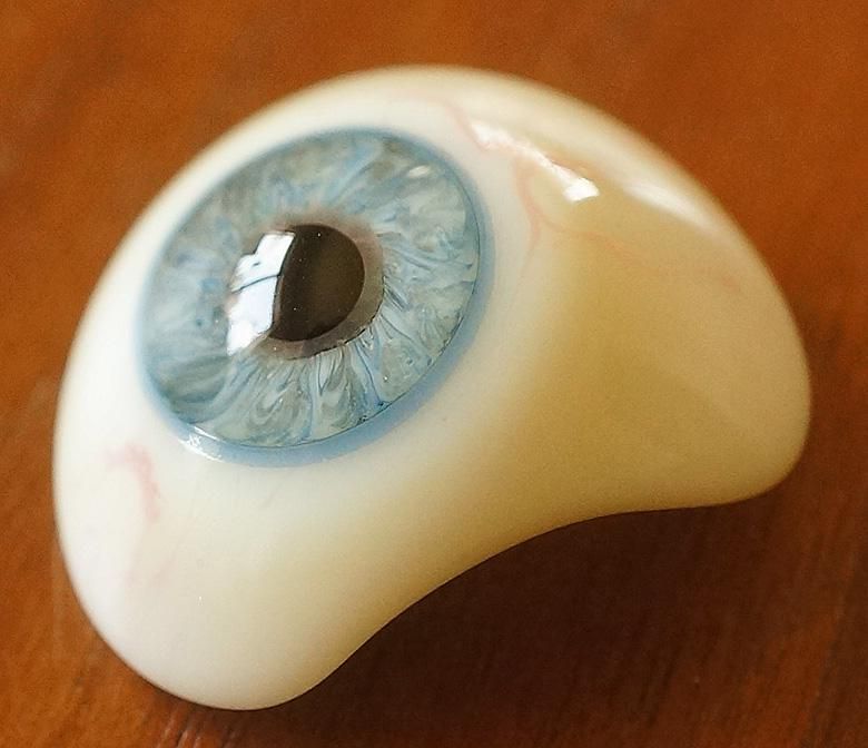 アンティーク・義眼（ドイツ・ラウシャ製／1890年頃） - Guignol