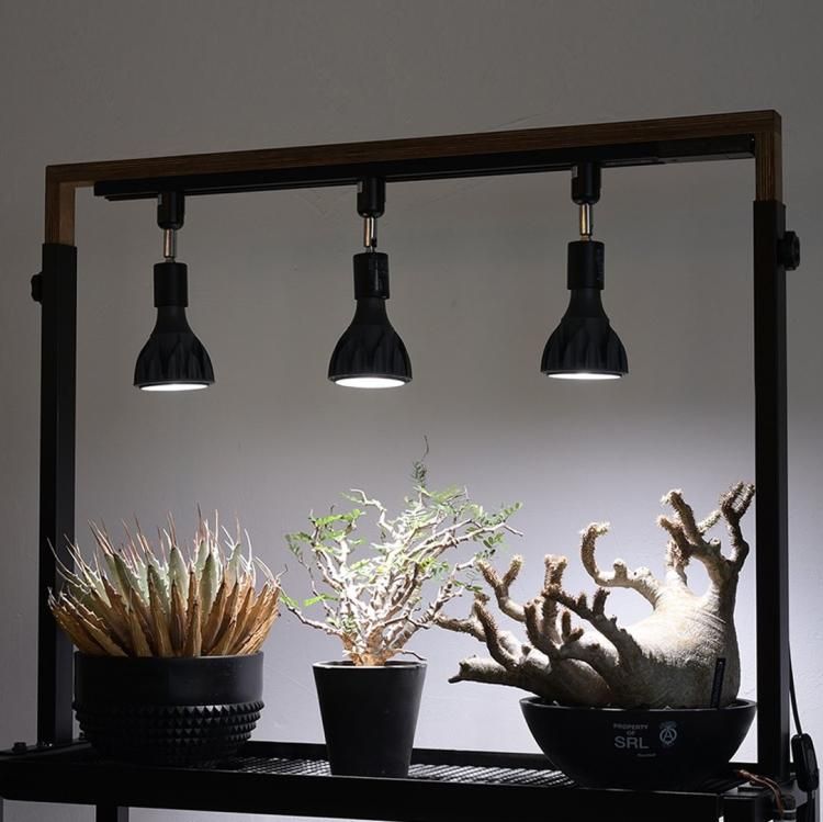 HELIOS GREEN ヘリオスグリーンLED HG-24 - 観葉植物・生花・ドライ