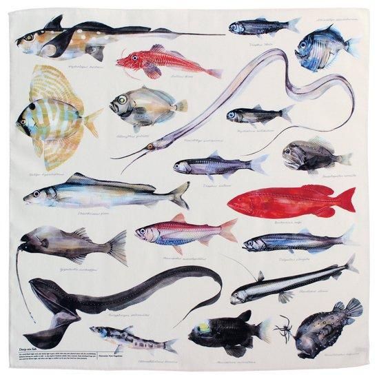 深海魚図譜 | H TOKYO ハンカチ | OLD-FASHIONED STORE