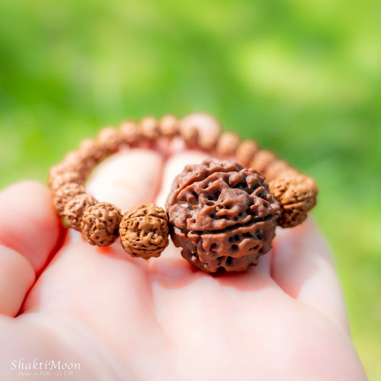 レア・希少！ネパール産・超特大5面（ムキ）×チクナルドラクシャ！心の