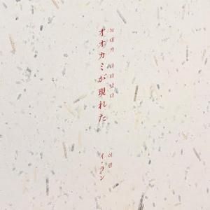 寺尾紗穂しゅー・しゃいん (LP) - パライソレコード