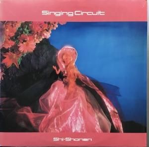 村松健緑の想い (LP) - パライソレコード