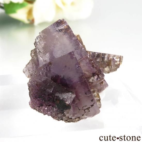 スペイン Berbes産 パープルフローライトの原石 No.28 - cute stone -