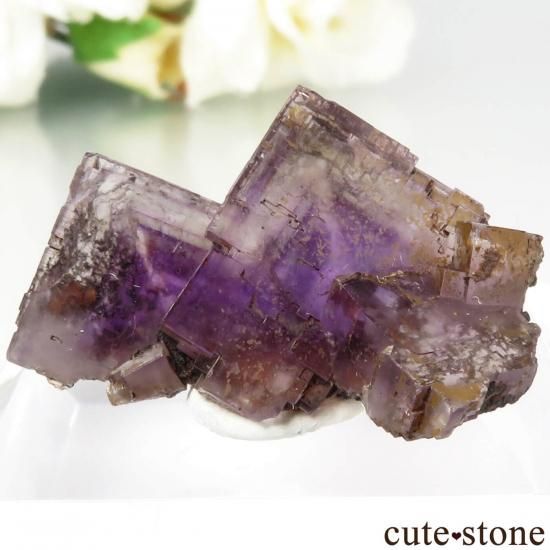 スペイン Berbes産 パープルフローライトの原石 No.28 - cute stone -