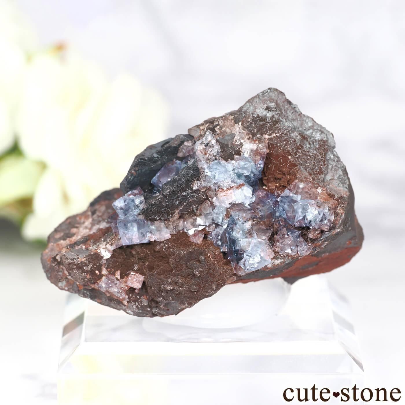 イングランド Florence Mine産 フローライト＆ヘマタイトの原石 No.4