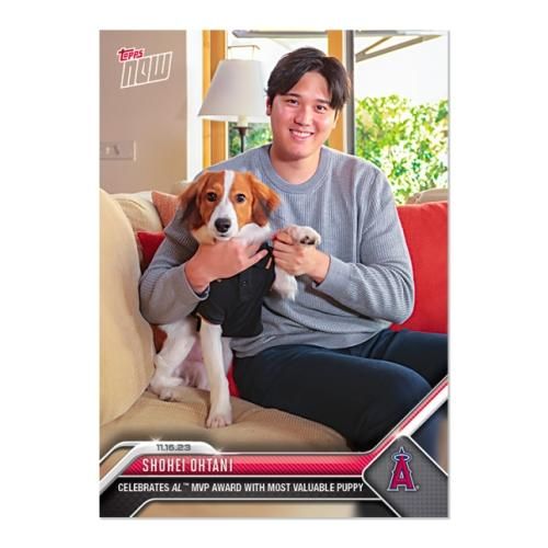 大谷翔平 MVP記念 デコピン Toppsカード - メジャーリーグストア