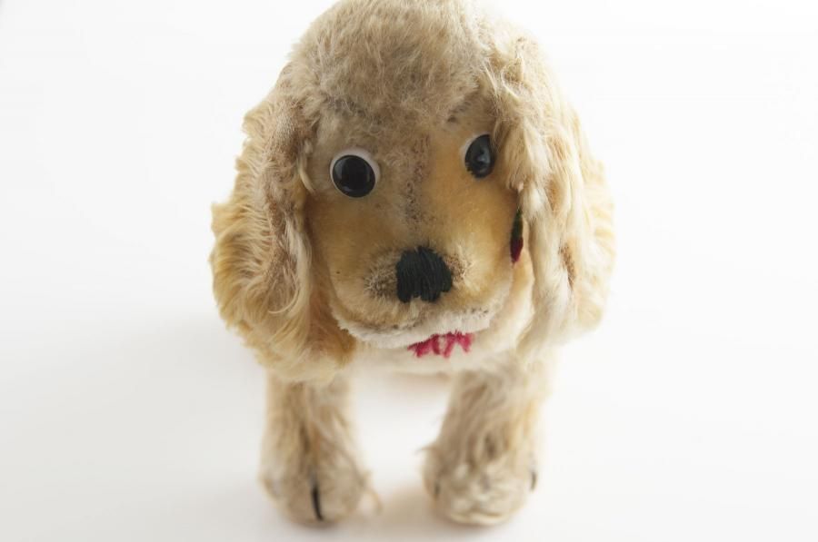 シュタイフ 犬（コッカースパニエル） - アンティークとテディベアの店