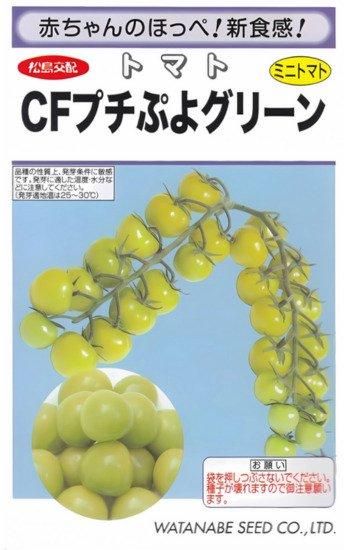 ミニトマトの種【CFプチぷよグリーン】〔F1〕 - 種の専門店 松尾農園