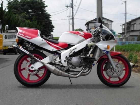 NSR250Rドッグファイトステンレスチャンバーカーボン - DOG FIGHT