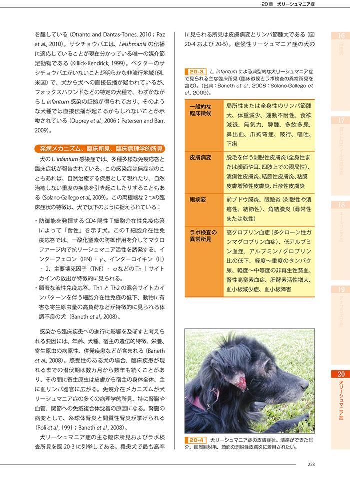 BSAVA 犬と猫の血液病学と輸血医療マニュアル－第2版－ - WAHA Online Shop