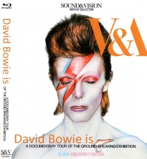 DAVID BOWIE / DAVID BOWIE IS