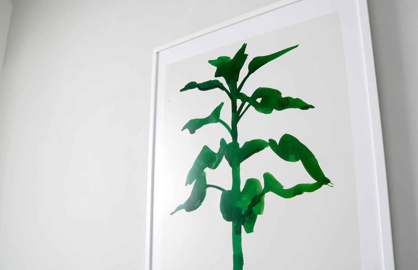 Ellsworth Kelly / Sunflower - アート ポスター - インポートポスター