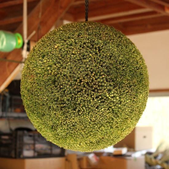 杉玉・直径30cm - 杉玉の高林 オンラインストア