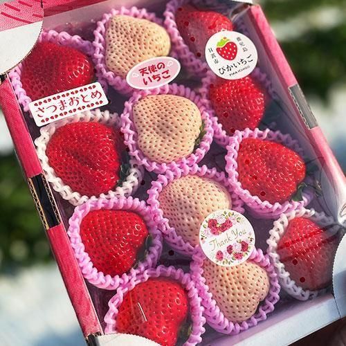 3品種いちご食べ比べセット(約400g～600g) - ままりあ農園 【かごしま