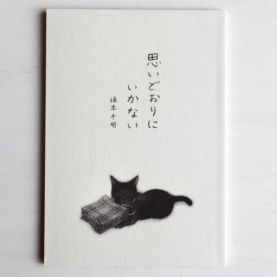 坂本千明 『ねこのねえ』サイン本 | aoi door アオイドア